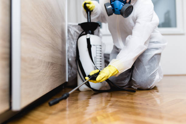 Best Insect Control  in Huntertown, IN