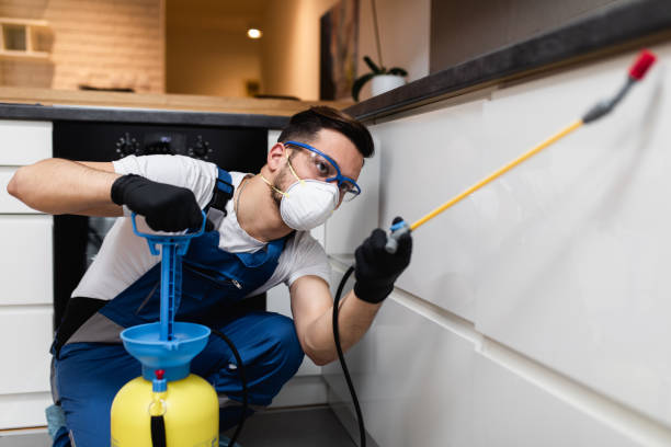 Best Exterminator Services  in Huntertown, IN