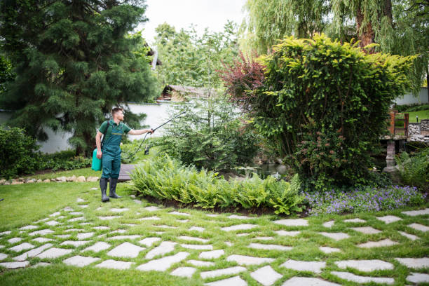 Best Best Pest Control Companies  in Huntertown, IN