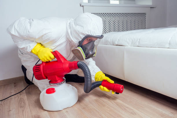 Best Mosquito Control Services  in Huntertown, IN