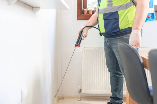 Best Local Pest Control Services  in Huntertown, IN