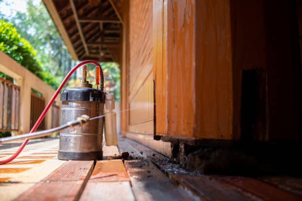 Best Pest Prevention Services  in Huntertown, IN