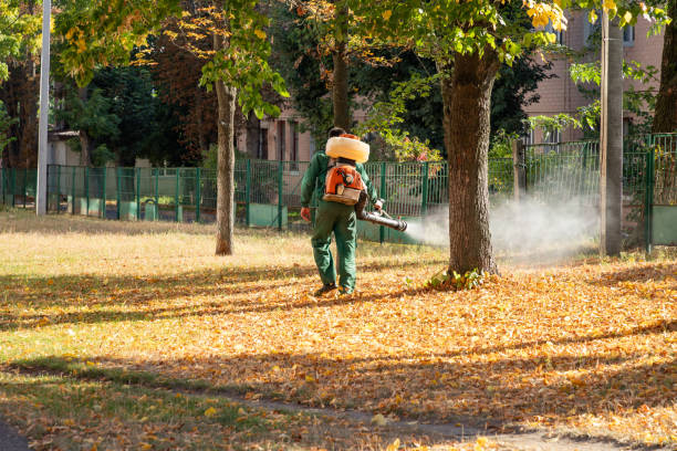Best Best Pest Control Companies  in Huntertown, IN