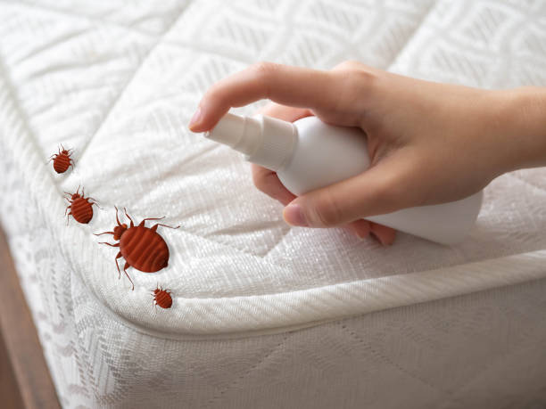 Best Wasp Removal Services  in Huntertown, IN