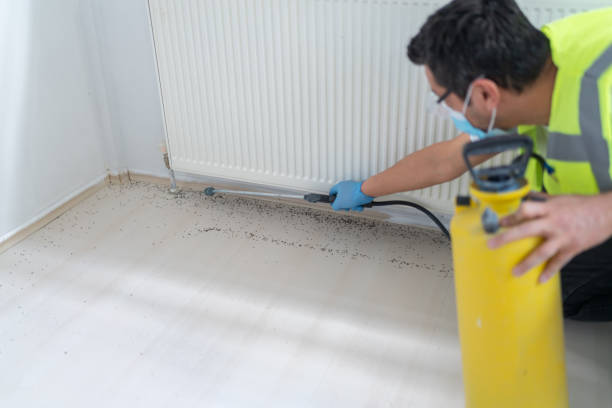 Best Affordable Pest Control Services  in Huntertown, IN